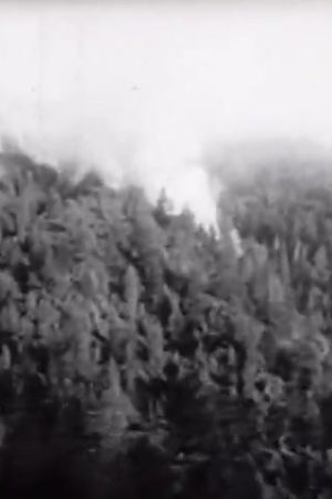 Kings Mountain Airplane Crash