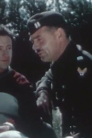 Combat America (Part III)