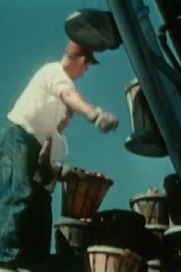 Big Delivery Wagon, The