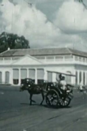 Coveted East Indies, The (Part I)