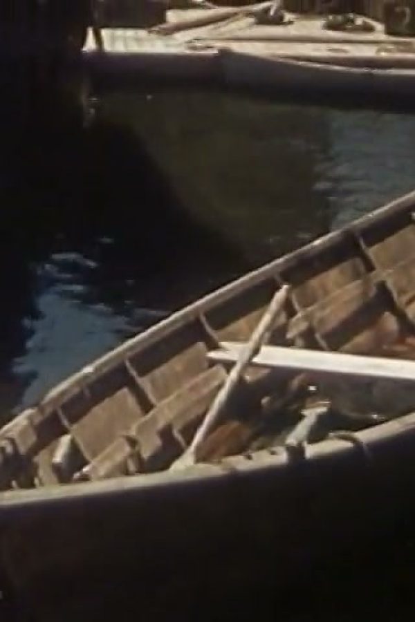 [Amateur film: Medicus collection: New York World's Fair, 1939-40] (Reel 3) (Part III)