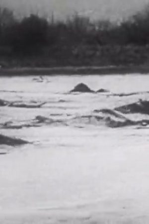 River, The (Part II)