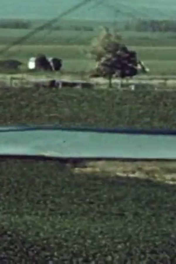 Agricultural Aviation