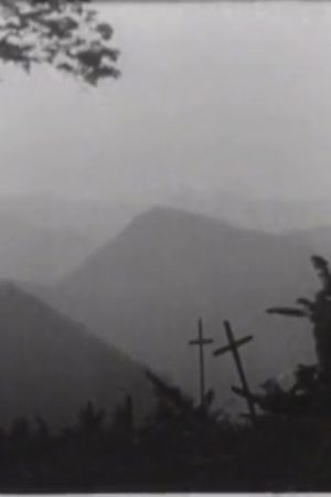 Silent War: Colombia's Fight Against Yellow Fever, The