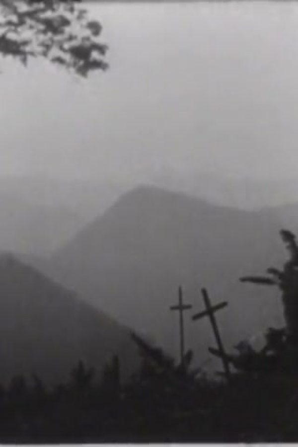 Silent War: Colombia's Fight Against Yellow Fever, The