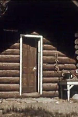 American Cowboy (Part I)
