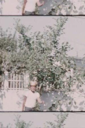 Home Movie: 003791