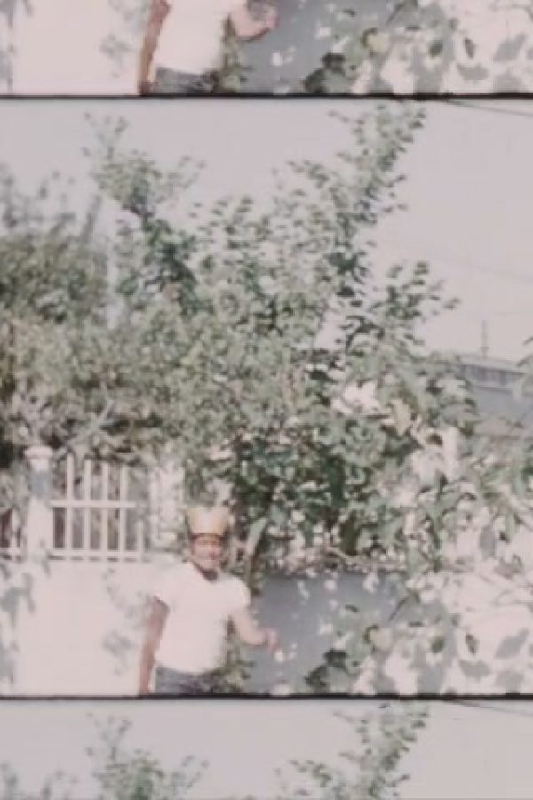 Home Movie: 003791
