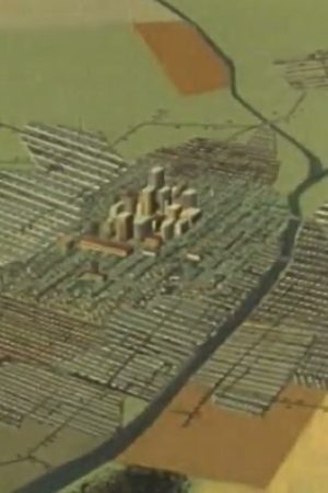 Community Growth: Crisis and Challenge