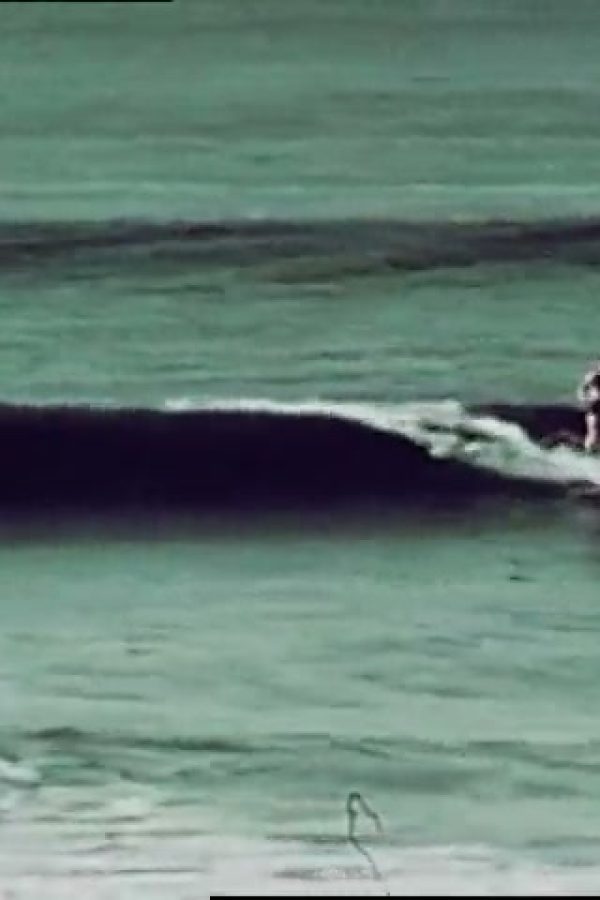 [Surfing]