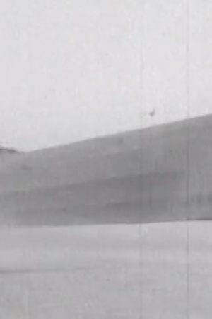 [Dole Air Race, 1927]