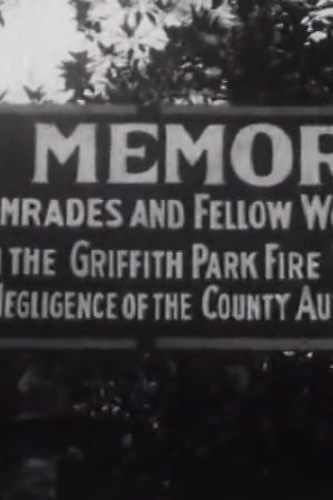 [Griffith Park Relief Workers Demonstration]
