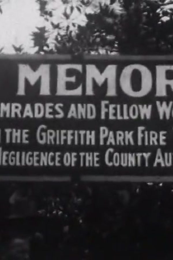 [Griffith Park Relief Workers Demonstration]