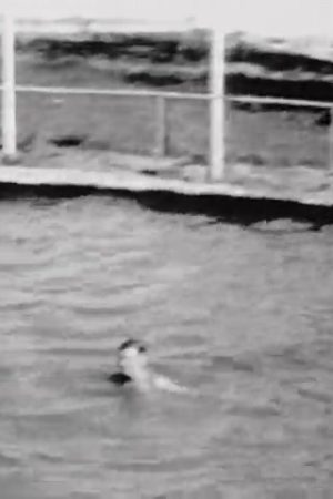 [Amateur films: Ivan Besse collection: Britton, South Dakota 1938-39] (Part III)