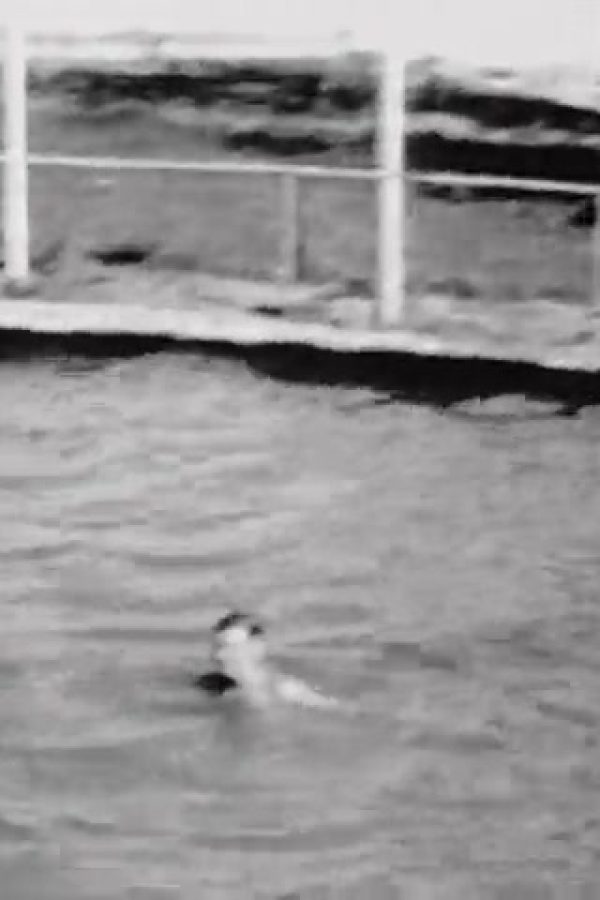 [Amateur films: Ivan Besse collection: Britton, South Dakota 1938-39] (Part III)