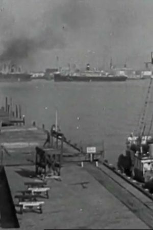 Japanese Relocation