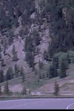 [Home Movies: "Wyoming Vacation 1978", Part 1]