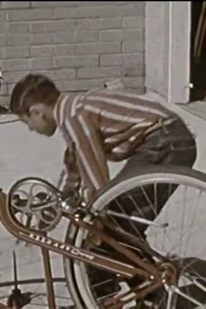 Bicycle Today - Automobile Tomorrow