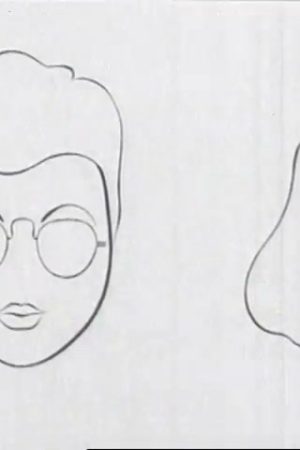 Fitting Faces