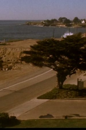 Vista Stock Shots: Ocean-Oriented Footage