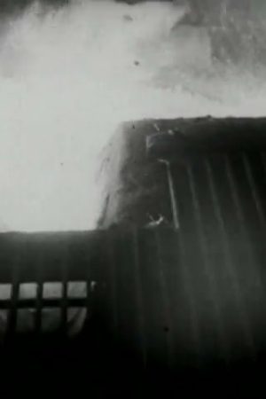 Steel: A Symphony of Industry
