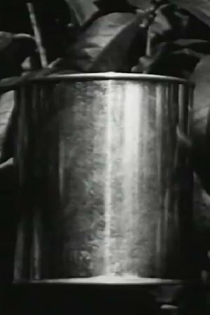 Miracle of the Can (Part I)