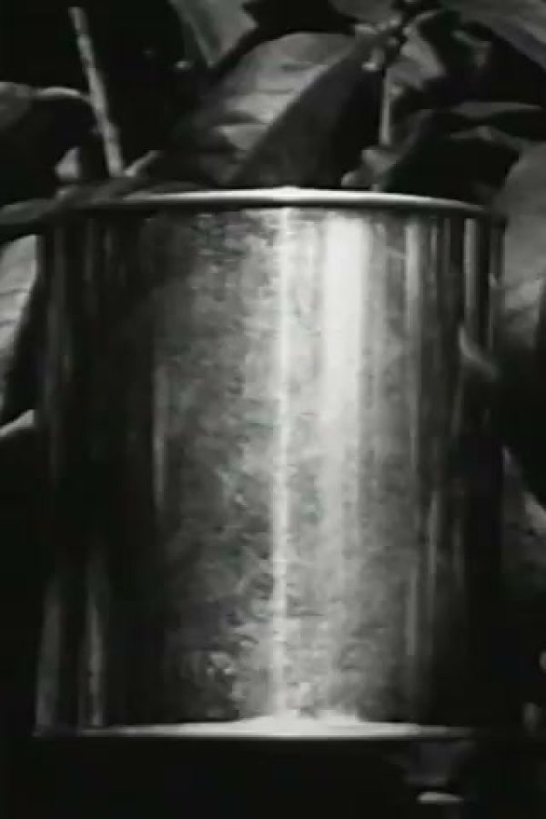 Miracle of the Can (Part I)