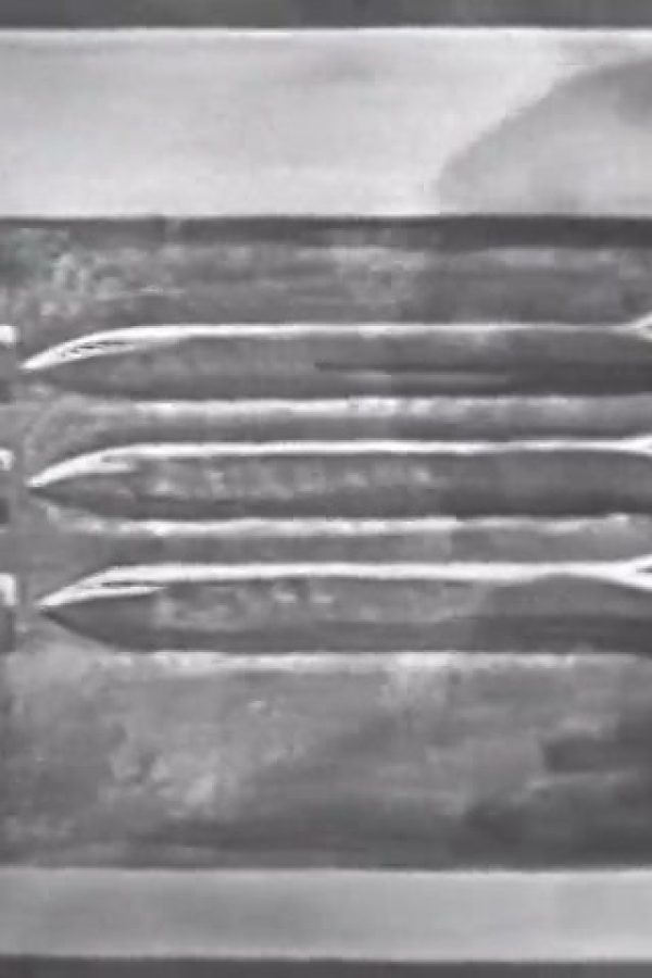 Science in Action: Submarines (Part I)