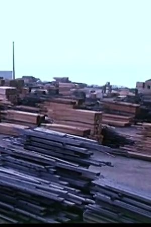 Using Trees: Part Three of a Series