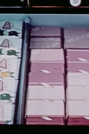 Selling Wizard, The