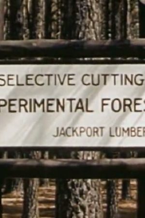Wood For War