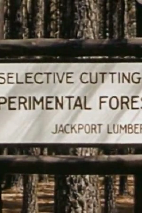 Wood For War