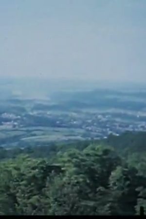 [Home Movies: "Home Movies Galore"]