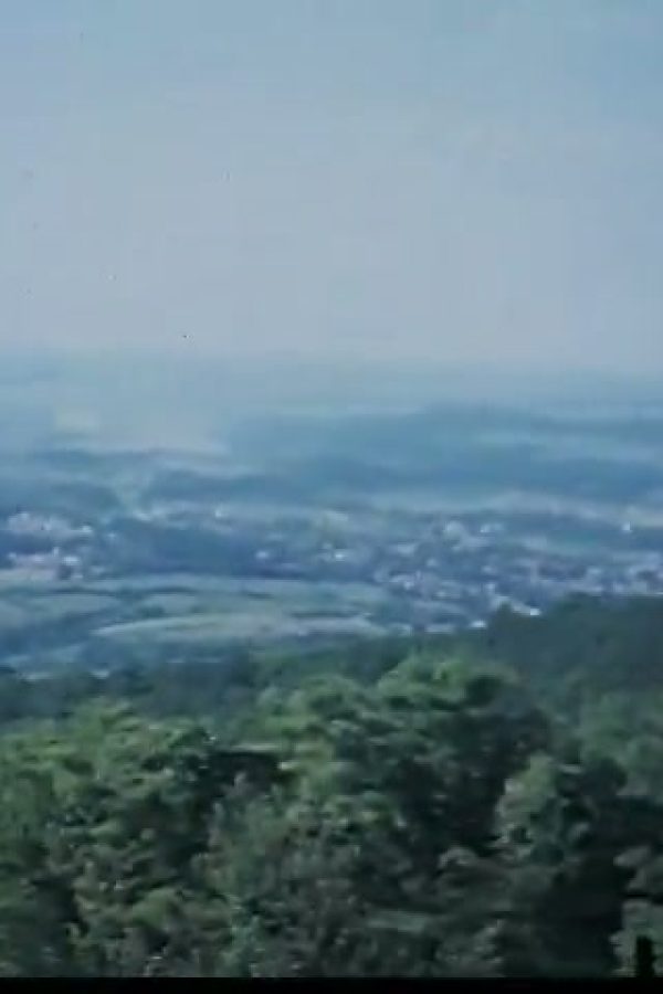 [Home Movies: "Home Movies Galore"]
