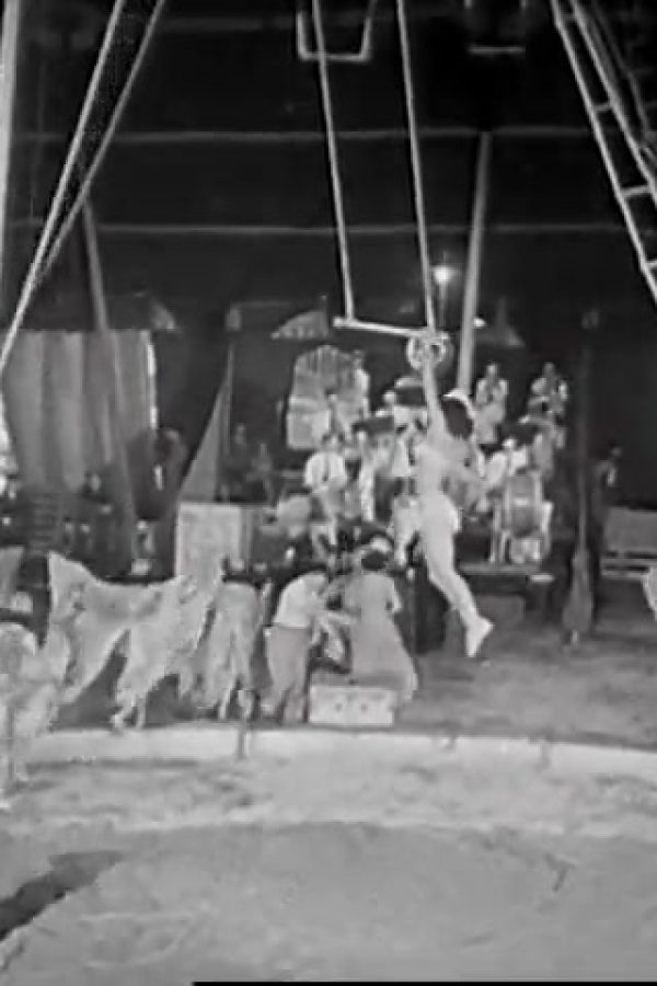 Here Comes the Circus