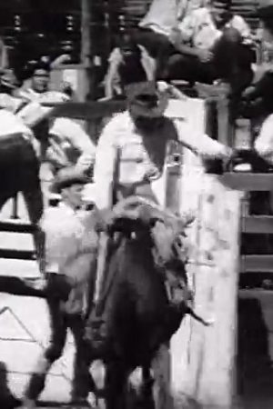 [Reno Rodeo]