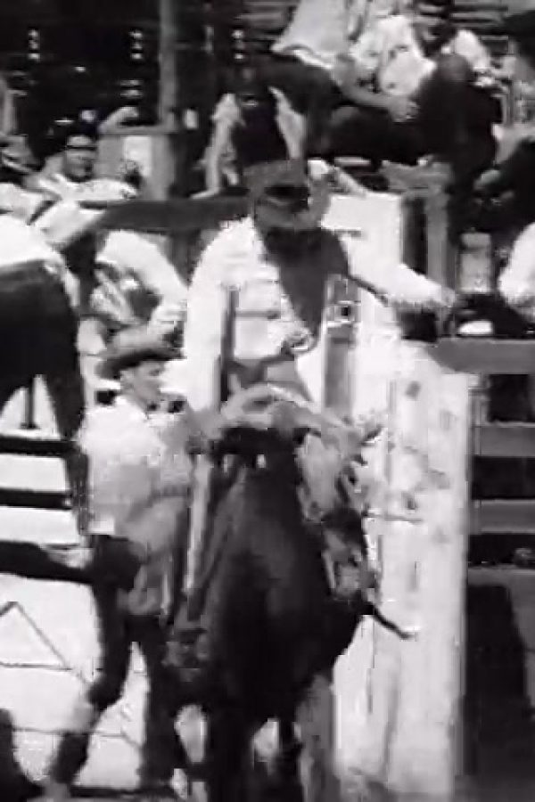 [Reno Rodeo]