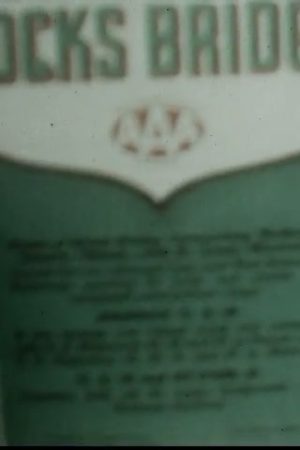 [Home Movies: "Our Trip of U.S.A., Part Two"]