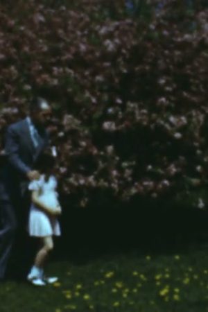 Home Movie: 71156: Untitled Collection 6