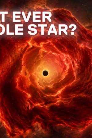 JWST May Have Discovered a New Cosmic Object: The Black Hole Star