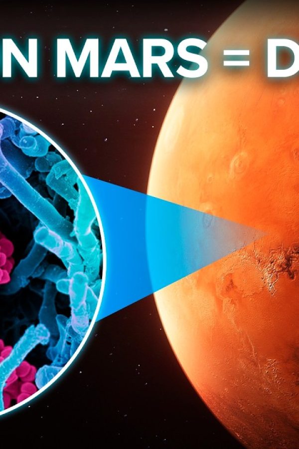 Why Life on Mars Will DOOM Humanity