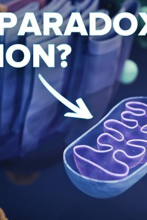 Is There A Simple Solution To The Fermi Paradox?