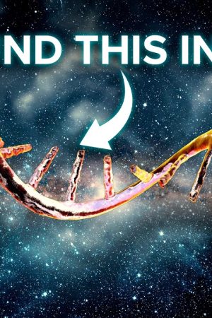 Your DNA's Codes Are (Probably) From Outer Space