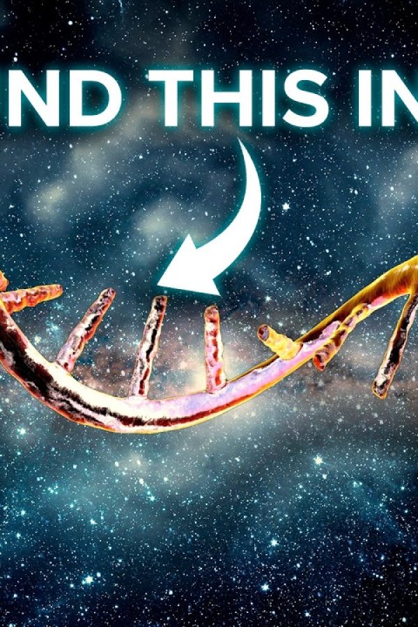 Your DNA's Codes Are (Probably) From Outer Space