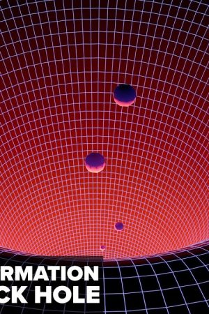 What Happens To Quantum Information Inside A Black Hole?
