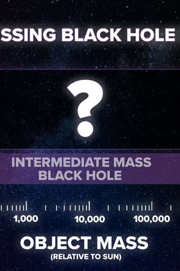 Did JWST SOLVE The Mystery of Supermassive Black Hole Origins?