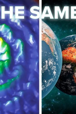 Are Many Worlds & Pilot Wave THE SAME Theory?