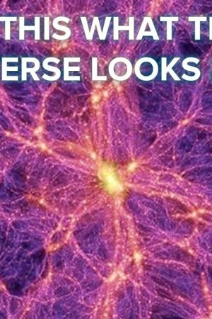 How To Build The Universe in a Computer