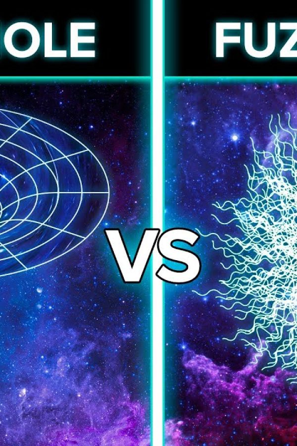 Are Black Holes Actually Fuzzballs?