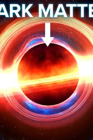 What If Dark Matter Is Just Black Holes?